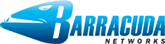 The Barracuda Logo